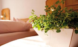 A beautiful room with a bed in the background and a plant on the table. The atmosphere is cozy and inviting.