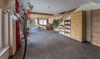 A bright and inviting room with wood details and large windows. The room is furnished with plants, shelves, and loungers.