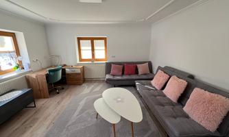 A cozy living room with a gray sofa and cushions in pink. There is a desk and a bright window that lets in a lot of light.