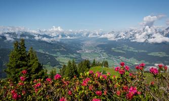 A breathtaking mountain landscape with colorful flowers in the foreground. In the background, clouds and green valleys under a clear blue sky can be seen.