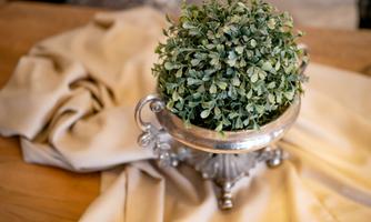 A green plant in a silver pot is standing on an elegant blanket. The background is soft and neutral.