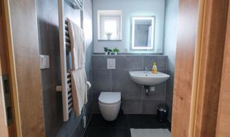 A modern bathroom with gray tiles and a double towel holder. A mirror with lighting and a small window plant complete the ambiance.