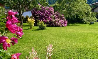 Jochum_Appartements_Wildschoenau_Garten_Rhododendr