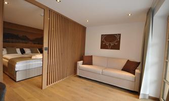 A modern room with a cozy sofa and a separate sleeping area. The walls are made of wood and the floor is made of light wood.