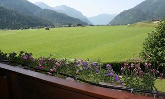 A beautiful view of a green meadow landscape with mountains in the background. Colorful flowers are blooming in a flower box.
