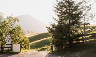 A tranquil landscape with gentle hills and trees. The path leads through an idyllic setting towards the mountains.
