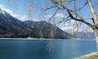 A tranquil lake surrounded by mountains and trees. The sky is clear and nature is peaceful.