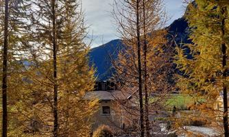 An autumn landscape with coniferous trees and a mountain view. In the foreground, a small house is visible.