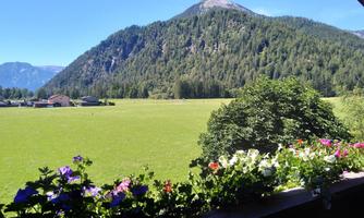 A peaceful landscape with a green field and a forested mountain in the background. Colorful flowers adorn the balcony in the foreground.