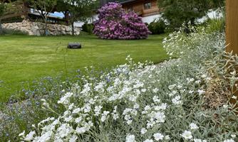 Jochum_Appartements_Wildschoenau_Rhododendron_Roll