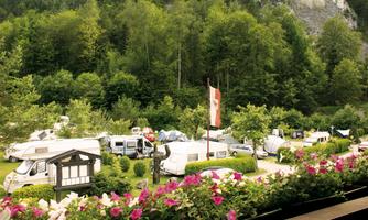 A campsite surrounded by green trees. Several motorhomes are parked on the premises, and colorful flowers are visible in the foreground.