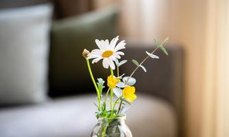 A small bouquet of white and yellow flowers in a glass vase. The background shows a bright, cozy living room.