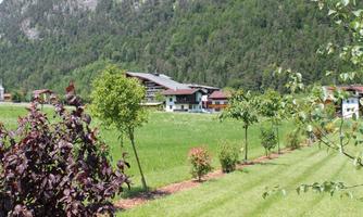 A green meadow with several trees and flowers. In the background, buildings can be seen against a wooded mountain landscape.