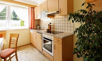 A modern kitchen with wooden cabinets and a stove. A window provides plenty of daylight and a plant brings fresh greenery into the room.