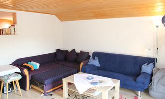 A cozy living space with two sofas, a coffee table, and a wooden floor. The walls are light, and there is a floor lamp in the corner.