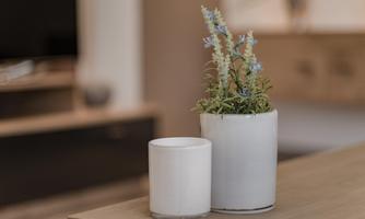 Two decorative pots are seated on a wooden tray. The larger pot contains green plants with small blue flowers.