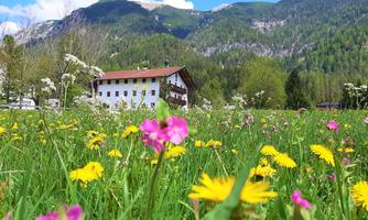 A beautiful, blooming field with colorful flowers and a traditional house in the background. The mountains complete the idyllic landscape.