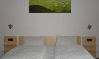 A simple bedroom with two beds and light bed covers. Above the bed hangs a picture with a green leaf and water droplets.