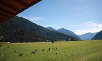A wide green meadow with grazing cows. In the background, majestic mountains rise beneath a clear blue sky.
