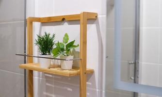 A modern wooden shelf with two potted plants. It stands in a bright bathroom and adds fresh natural accents to the space.