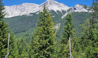 A majestic mountain with a snow-capped peak rises above a dense forest. The clear blue sky creates an impressive sight.