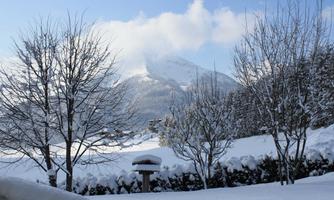 A snowy landscape with snow-covered trees and a mountain in the background. The sky is clear and slightly cloudy.