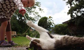 A child is playing with a cat outdoors. The cat is lying on its back and playing with a stick.
