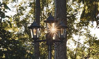 A streetlight stands between trees and casts a warm light. The sun shines through the lantern and creates a romantic atmosphere.