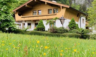 A beautiful wooden house surrounded by green meadows and trees. In the foreground, yellow flowers are blooming.