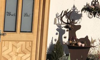A wooden door with windows and the inscription "Bach Hof". Next to the door stands a metal figure of a reindeer, casting a shadow.