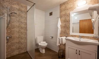 A modern bathroom with a shower and a toilet. The walls are decorated with decorative tiles and a large mirror.