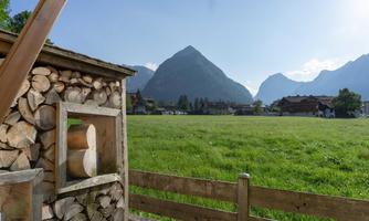 A picturesque landscape with a large mountain in the background and a green field in the foreground. In the foreground, there is a wooden frame that fits the rural surroundings.