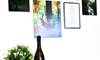 A stylish table with a wine glass, a clock, and a plant. In the background, various pictures with nature motifs are hanging on the wall.