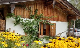 A charming house with wooden cladding, surrounded by colorful flowers. In the foreground, bright yellow flowers bloom in the garden.