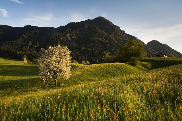 Haus Barbara Reith im Alpbachtal Der offizielle