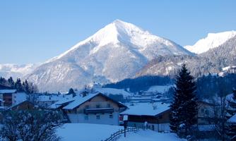 A snowy landscape with a majestic mountain in the background. The houses and trees are covered in snow, creating a peaceful winter atmosphere.