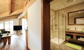 A modern room with a wooden ceiling and large windows. On the left side there is a cozy seating area and on the right side a stylish bathroom with a shower.