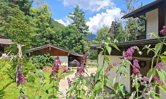 An idyllic landscape with colorful flowers and charming cottages. The surroundings are green and surrounded by trees, under a clear blue sky.
