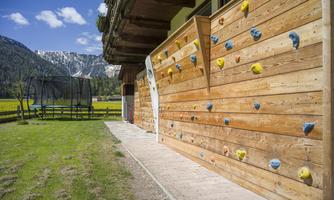 A climbing wall made of wood with colorful grips stands on a meadow. In the background, mountains and a trampoline can be seen.