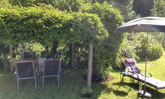 A cozy spot in the garden under a green pergola with seating. Next to the table is a lounge chair and a sunshade.