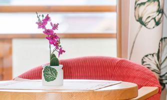 Zimmer-Tisch-Landhotel-Tirolerhof-43