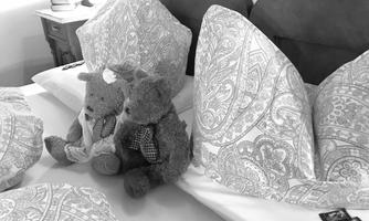 Jochum_Appartements_Wildschoenau_GllSZ_Teddies