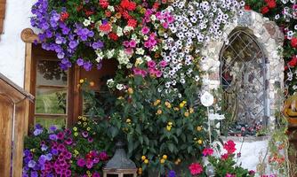 An inviting entrance area filled with a variety of colorful flowers in different pots. The blooming plants frame the door and create a friendly atmosphere.
