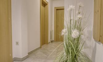 A bright hallway with white walls and a modern leaf plant arrangement. The doors are made of wood and the floor is covered with tiles.