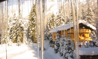 A snowy landscape with green fir trees and a wooden house. Icicles hang from a roof in the cold.
