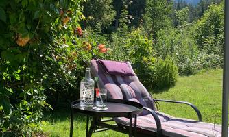 A cozy lounge chair is in a green garden, surrounded by plants and flowers. A glass with a drink is on a small table.