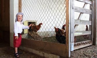 A happy child stands in front of a chicken coop and smiles. Inside the coop, several chickens can be seen.