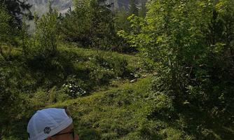 A boy is sitting in nature and looking at majestic mountains. There is plenty of greenery around him and a clear sky.