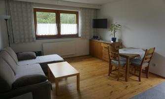 A cozy living room with a gray sofa and a wooden table. There is a television and a small dining table with chairs.