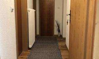 A bright hallway with wooden flooring and a long mat. Several doors are located on the walls, and a plant pot stands in the corner.